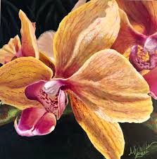 Orchids painting watercolor plants watercolor art yellow orchid yellow flowers original art original paintings cute paintings abstract painters. Innocent Yellow Orchid Note Card Set Michelle East Art
