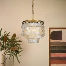 Sea Shell Chandelier Wayfair