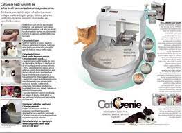 self cleaning cat litter box reviews cat litter box cat litter litter box