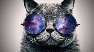 Maybe you would like to learn more about one of these? Cat Wallpaper Hd Airwallpaper Com