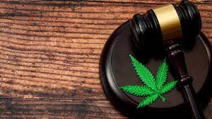 Growonline | january 26, 2021. Iglesia Censura Iniciativa Para Legalizar La Marihuana En Mexico Telemundo San Diego 20