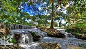 Maybe you would like to learn more about one of these? Things To Do In Texas Hill Country Hill Country Attractions Roddy Tree Ranch