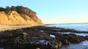 Tide Pools And Cliffs Picture Of Fitzgerald Marine Reserve