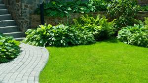 Sesudah tanah sudah gembur atau empuk saatnya untuk memupuk. Cara Menanam Rumput Gajah Mini Di Taman Minimalis Berkeluarga