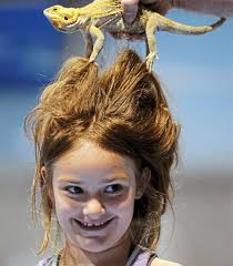 Off to the races: Warming up to cold-blooded reptiles at Steel City Expo