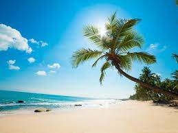 Aug 05, 2021 · stardock deskscapes extends windows 10 with the ability to run spectacular animated wallpapers (dreams) on your desktop. Sunny Beach Wallpapers Live Wallpaper For Pc 1024x768 Jpg Desktop Background