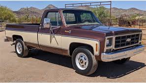 Image result for Brown 1979 Chevy Truck