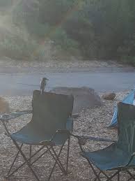 Swimming hole wheeler gorge campground. Wheeler Gorge Campground Parks Management Company Get Outdoors California Camping