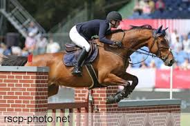 We would like to show you a description here but the site won't allow us. Fotografie Hamburg Deutsche Springderby Hamburg Rene Vigneron