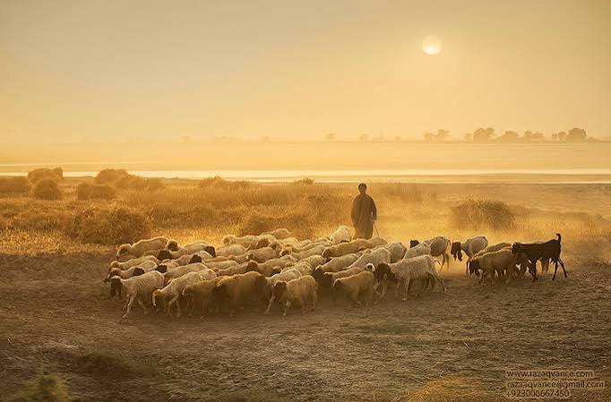 Razaq Vance Art Photography » Best website for documentary, people, travel, landscape, nature, portraits, black and white, Asian culture and art photography with free wallpapers and images.Golden Hour Photography And Beauty Of
