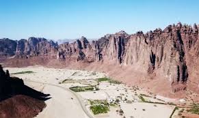 Ecotourism Project Protects Wildlife Promotes Jobs In Saudi Arabia Arab News