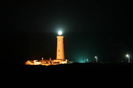 Image result for seal point cape st francis