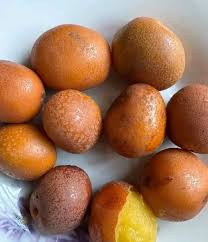 Image result for Anisophyllea boehmii