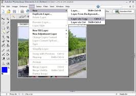 Sign up today & get a free 4 week course! Move Part Of A Digital Photo To A New Layer With Adobe Photoshop Elements Dummies