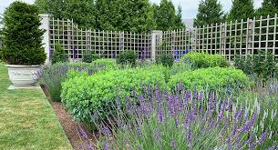 It has always had small access paths so that i would not have to step on the soil. Blog Enchanted Gardens