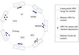 Disc Chart Illustration Of Various Hrv Features Showing The