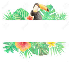 Only 1 available and it's in 3 people's carts. Tropical Exotic Bird Leaves And Flowers Toucan Palm Leaves Stock Photo Picture And Royalty Free Image Image 103444212