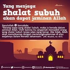 Dapatkan jadwal sholat akurat, arah kiblat lebih dari 6 juta tempat. Jaminan Sholat Subuh Avocado Salat Frischer Salat