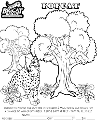 It is a simple drawing and colouring tutorial. Lynx 10861 Animals Printable Coloring Pages
