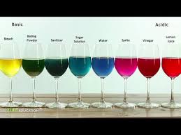 Red Cabbage Indicator Colors Chemistry Experiment For Kids To Do At Home