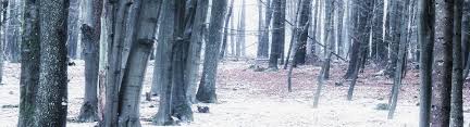 Weitere ideen zu beschäftigung für senioren, aktivierung senioren, aktivitäten für senioren. Winterzeit Geschichten Marchen Und Gedichte