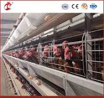 Bestchickencage H Type Breeder Cage Layer Cage China Wooden Large Chicken  Layer Coop Factory Wholesale Anti-Bacterial Spread Design Chick Chicken  Layer Cage