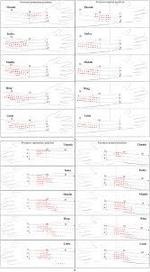 The Positions Of Stimulation Points For Extension And