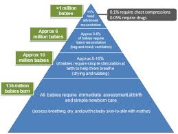 This paper will review the development of neonatal simulation technology, its role in education and. Neonatal Resuscitation And Immediate Newborn Assessment And Stimulation For The Prevention Of Neonatal Deaths A Systematic Review Meta Analysis And Delphi Estimation Of Mortality Effect Bmc Public Health Full Text