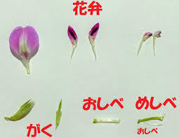 中学理科の苦手解決サイト