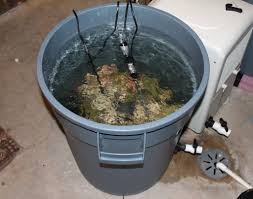 When you get home put all of the rock in the garbage can with the water taken from the tank. Curing Rock For Marine Aquariums Reef Aquarium