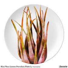 Pin On Decorative Plates
