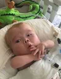 Zander Chick Obituary October 28, 2020