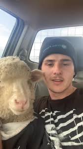 Thank you all for the 140k followers! #johnnythelamb #farm #lamb