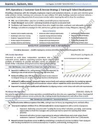 executive resume sample senior vice