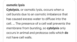 Why Don'T Cells Burst? - Quora