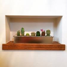 玄関 入り口 solxsol サボテン ニッチのインテリア実例 2015 04 21 14 22 55 roomclip ルームクリップ 玄関 ニッチ インテリア ニッチ