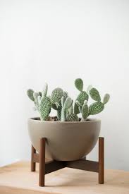 Plant Stand Diy Plant Plant Satnd Ideas Tags Diy Plant Stand Indoor Plant Stand Ideas Plant Stand Diy Indoor Diy Blumenstander Coole Pflanzen Und Zimmerpflanzen