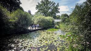 The botanical garden in berlin. Botanischer Garten Gutersloh