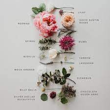 Fall Bouquet Recipe Fall Bouquet Recipe The Post Fall Bouquet Recipe Appeared First On Easy Flowers Flower Guide Bouquet Recipe Bouquet Recipe Fall