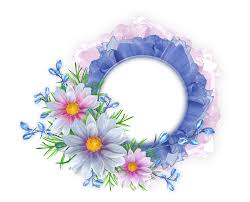Blue And Pink Round Transparent Frame With Flowers Png 1280 1035 Moldura Floral Molduras Estampas Florais