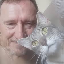 Which rear end do you like the best? #camaro #firebird #gto #chevelle  #corvette #mustang for sale @vanguardmotors www.vanguardmotorsales.com  #vanguardmotorsales