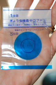 Image result for Pinworm