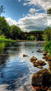 Check spelling or type a new query. 4k Wallpaper Nature Portrait Hd Wallpaper