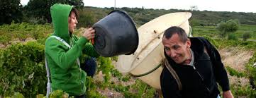 Même si on a connu la vie en entreprise à travers différents stages, c'est la première fois que l'on arrive dans un environnement professionnel avec un statut de salarié. Emplois Saisonniers Pole Emploi