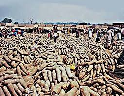 Epingle Sur Jardin Et Potager En Reve