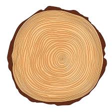 Saw Crosscut Tree Trunk Tree Trunk Wooden Design Tree