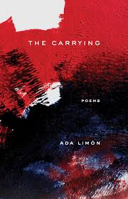 I Can T Help It I Will Never Get Over Making Everything Such A Big Deal Best Poetry Books Poetry Books Poems