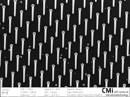 Picture Of The Month Honorable Runner Ups 2016 Center Of Micronanotechnology Cmi Epfl