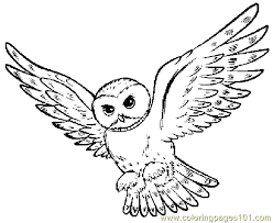 For boys and girls, kids and adults, teenagers and toddlers, preschoolers and older kids at school. Owl Coloring Page 06 Coloring Page For Kids Free Owl Printable Coloring Pages Online For Kids Coloringpages101 Com Coloring Pages For Kids