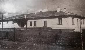 Aydin Hayvan Hastanesi Hayvan Ayi
